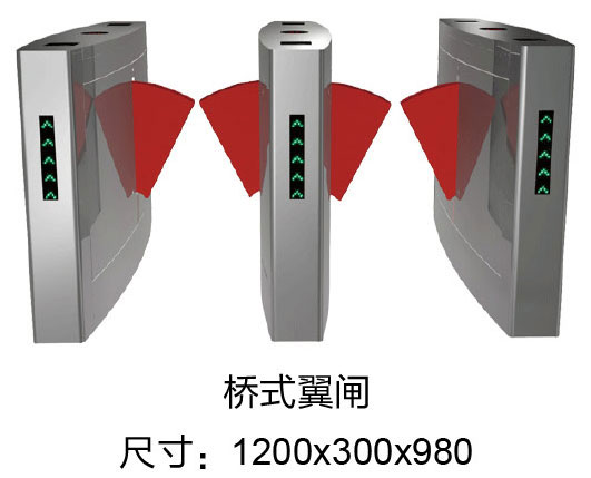 橋式翼閘