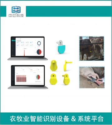 智能畜牧測溫耳標(biāo)管理系統(tǒng)