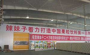 湖南辣妹子食品股份有限公司快速門案例