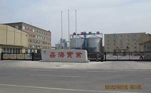 吉林鑫海實業(yè)智能無軌懸浮門工程案例