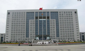 政府旗桿案例